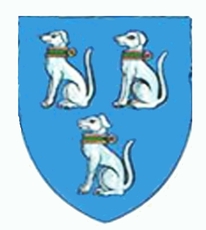 Blason de la famille Brisinc   Brissinc